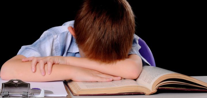 Почему дети плохо учатся в школе — Полезная информация