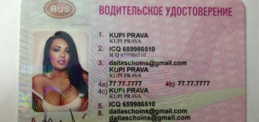 Цифровые водительские права категории Б: удобство и преимущества